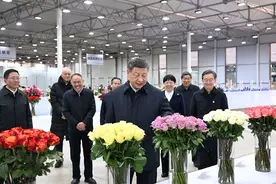 习近平在云南考察图片