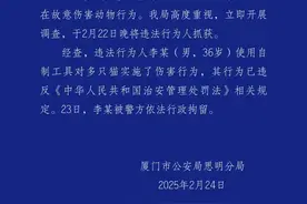 厦门警方：一男子自制工具对多只猫实施伤害，已被行拘图片