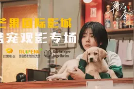 想和爱宠一起看电影吗？12月23日有个宠物专场图片