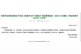 “百千万”珠海战法｜管用实用好用，珠海出台乡村“通则式”新规图片