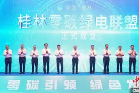 桂林零碳绿电联盟成立 产学研用协同推进能源绿色低碳发展图片