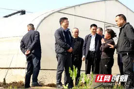 娄星区：抢抓农时 不误农事 科学高效做好春耕备耕图片
