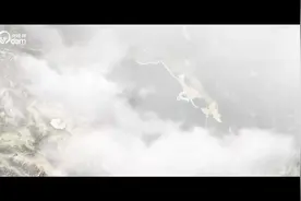 绿水青山间｜鱼跃青海湖图片