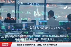 加速国际布局破局内卷，晶科、阳光寻求境外上市视频封面