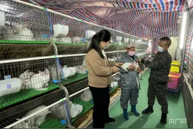 湖南江永：小白兔“蹦”出乡村振兴致富路图片