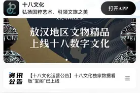 被“摧毁”的数藏玩家：50万积蓄变电子垃圾，程序员送外卖还网贷图片