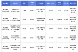 杭州7宗宅地出让145.62亿元成交，全年卖地额仅次于京沪图片