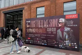 扮靓“毛孩子”，第四届上海宠物时装周3月28日启动图片