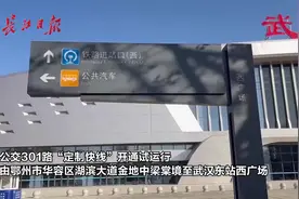 只停10个大站快速通达，武汉至鄂州首条公交快线开通图片