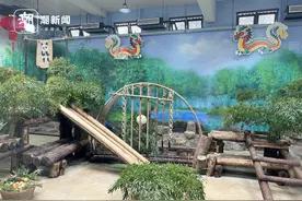 “春生”“香果”年夜饭提前开餐！两小只在杭第一个春节怎么过？图片