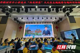 株洲市中小学美术“尚美课堂”天元区主题教学专题研讨活动举行图片