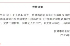 广西贵港发生一起山火  火势已被控制图片