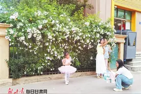 【观察】兰州：让城市变花园 为生活添色彩图片