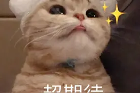 明天这里“艾”意满满，还有羊毛可以薅图片