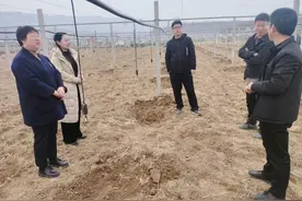 专家携手基地共育“果盘子”图片