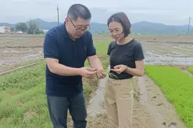 博士带队送“技术大餐”下乡！惠州工程职业学院助力产业振兴图片
