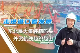 走进港口看发展丨东北最大集装箱码头 外贸航线越织越密图片