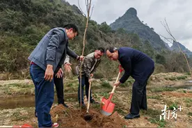 植树造林添新绿，石潭人大代表齐行动图片