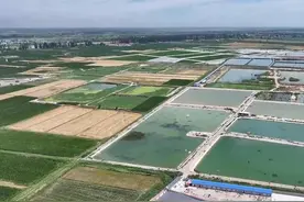 新鲜果蔬迪拜行图片