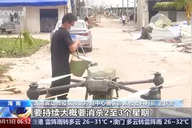 专家组奔赴海南文昌11个重点乡镇 指导台风过后消杀图片