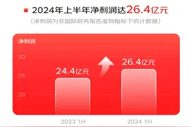 财报 | 京东健康2024年上半年净利润率9.3%，创上市以来半年度业绩新高图片