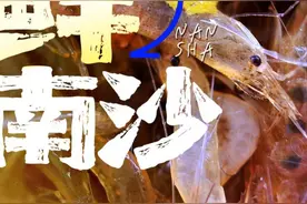贴秋膘的季节到了！码住广州南沙这口鲜美！图片