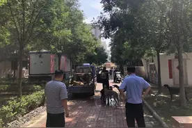 北塘街道欣昌苑社区开展流浪狗巡查整治行动图片