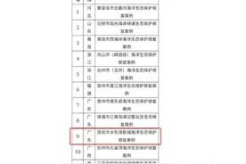 茂名入选！2024年海洋生态保护修复典型案例评选结果公示图片