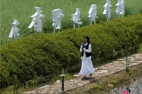 水乡周庄花田香咖集 ｜ 给想要留住春天的人图片