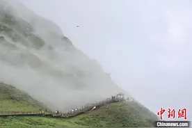 贵州六盘水乌蒙大草原吸引游客避暑游玩图片