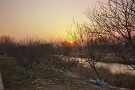 季节之美//冬日的风图片