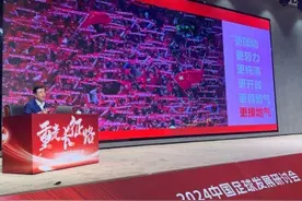 中国足协主席宋凯：中国足球需落实好六方面举措图片