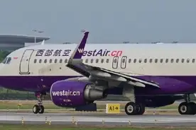南宁至重庆一航班遭鸟击返航，机长：听见“嘣”的一声以及一连串撞击声图片