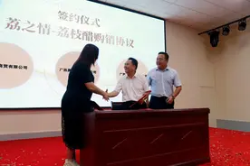 灵山：三产融合助推荔枝产业发展图片