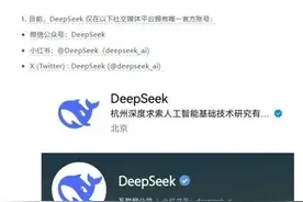 DeepSeek紧急声明！爆火后已出现2000多个山寨网站，有人传播恶意软件窃取信息图片
