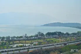 【发现最美铁路】穿越花海邂逅诗意  高原赏花之旅列车启程图片