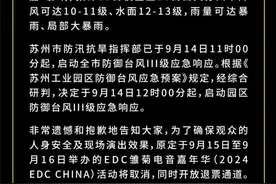 EDC雏菊电音嘉年华公告图片
