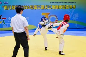 搭建对外交流平台 长三角跆拳道嘉年华在台州三门举行图片