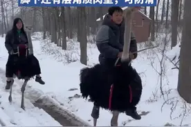 安徽一对姐弟雪中骑鸵鸟出行，父亲：它负重达200斤图片
