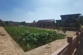 打好乡村全面振兴漂亮仗，临沂的信心从何而来图片
