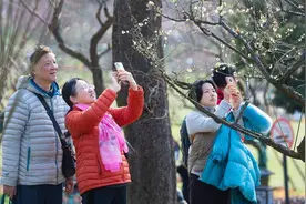 赏花踏春 东湖梅园春节假期人气火爆图片
