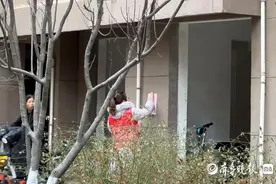 泉城调查丨寄予厚望的电动车整治新规，如何才能不成“一纸空文”图片