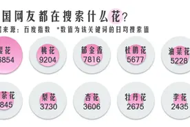 万物清明花正盛，浙江人都爱去哪看花？图片