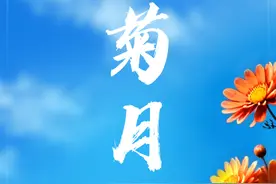 节令之美丨农历九月天，菊花有佳色图片