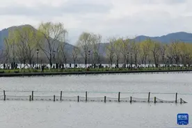 西湖春景美图片