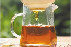 茶香引客来 光影绘振兴图片