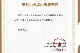 山东唯一！ 日照圣谷山大梁山有机茶园上榜首批“中国大美茶山”图片