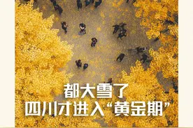 都大雪了，四川才进入“黄金期”图片