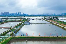 珠海这个“渔乐圈”全网曝光量超3.2亿，引爆热搜……图片