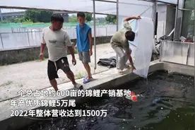 广东佛山：特色水产“游”向全国图片